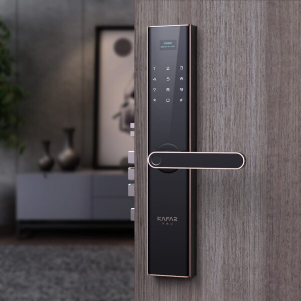 Fingerprint & Password Smart Lock